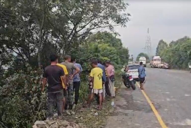 Tourist Taxi Plunges into Gorge at Puriang; Driver Killed, Five Injured