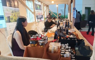 Limited Production Capacity a Key Barrier for Meghalaya Entrepreneurs Seeking Overseas Markets